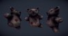 Teddy.jpg