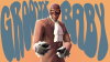 GroovySpy.png