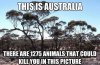 1381791_535735616504140_86133588_n1.jpg