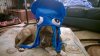 dog.jpg