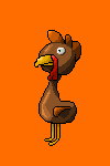 Tahitian Turkey™