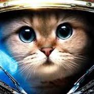 [TGS] SwedishCat