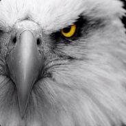 [FB] Flaming Eagle