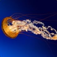 jmreger1213 csgobig.com