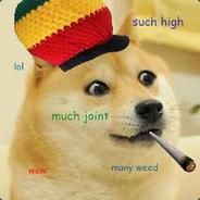 dogeiestdoge