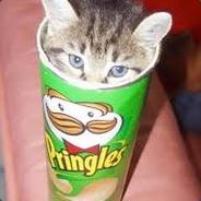 catinabox
