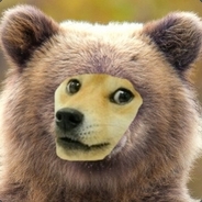 DrGrizzlyDoge