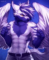 Arc Zaron