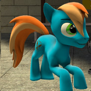 Angelo CZECH pony