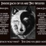 Wolf_Tamer87