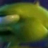 Nick_H
