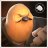 Pootis Bird
