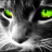 DubstepCat